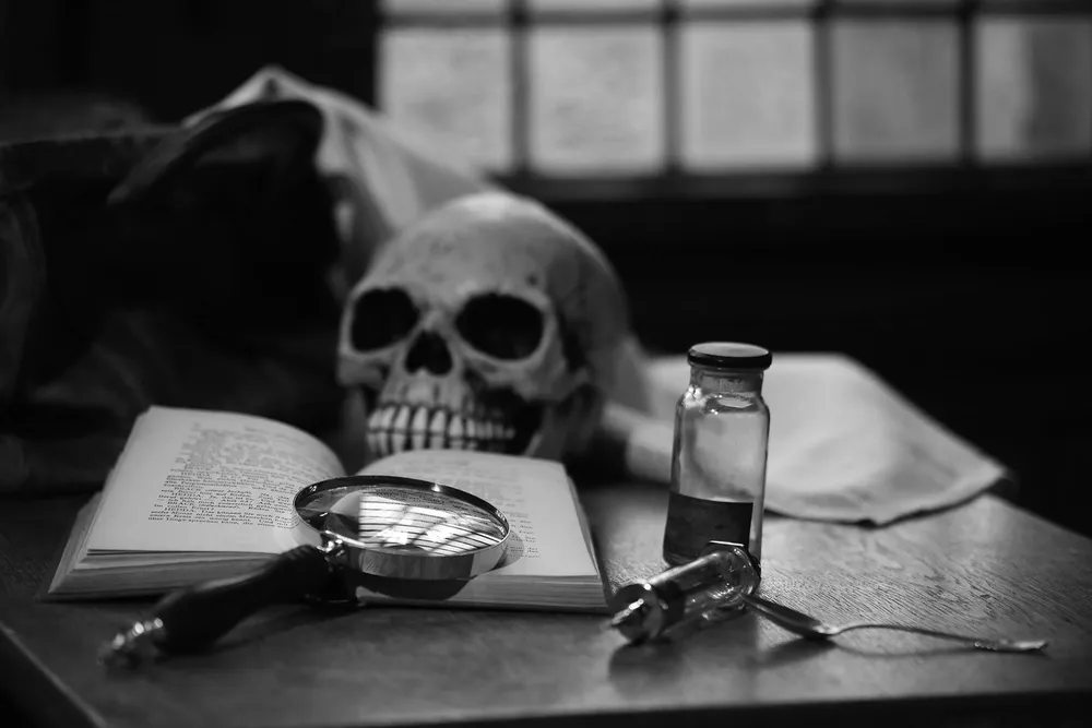 Krimidinner - Sherlock Holmes und der Fluch der Ashtonburrys - Kloster Graefenthal
